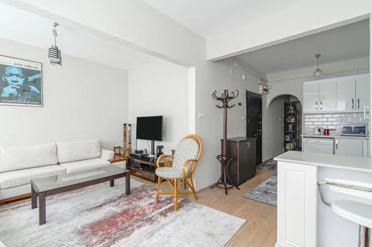 Fully Furnished Stylishly Designed Flat In Sisli Apartment Istanbul 0*,  Turkey