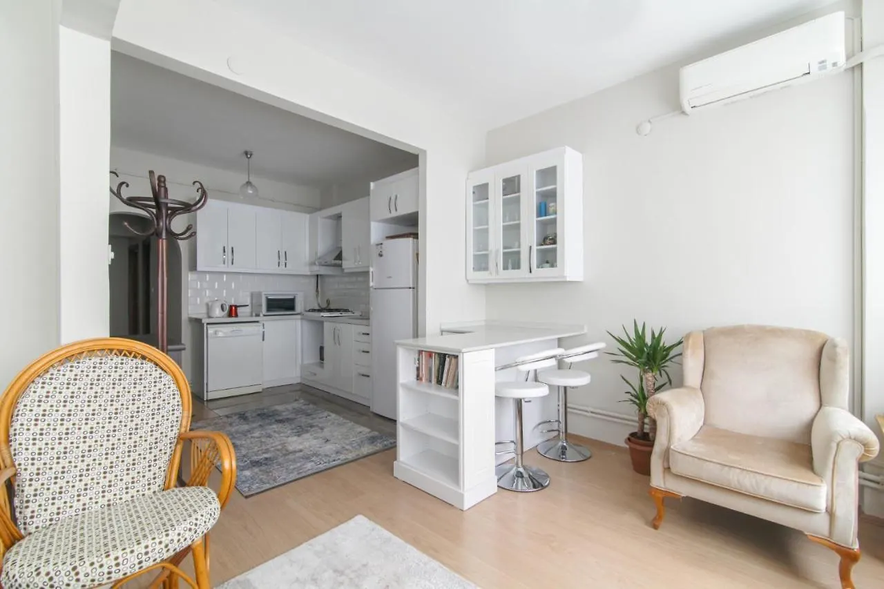 Fully Furnished Stylishly Designed Flat In Sisli Apartment Istanbul