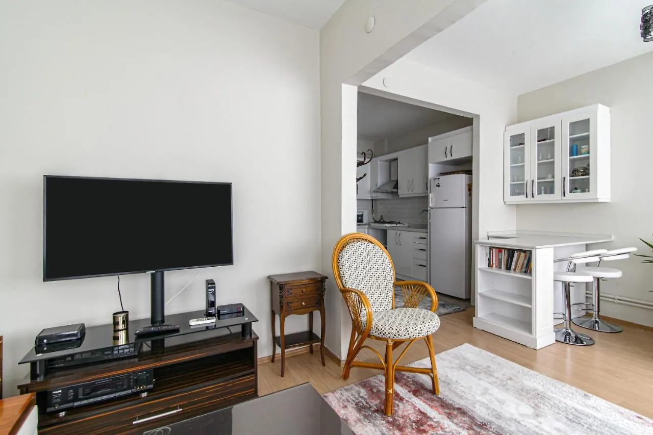 Fully Furnished Stylishly Designed Flat In Sisli Apartment Istanbul Turkey