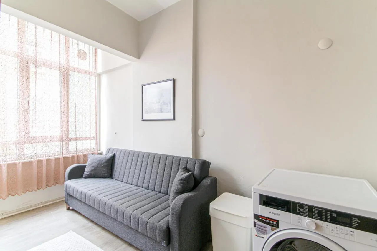 Fully Furnished Stylishly Designed Flat In Sisli Apartment Istanbul 0*,  Turkey